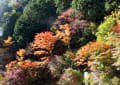 昇仙峡・紅葉２０１７年１１月５日