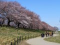 2012年　春の五大花めぐりツアー