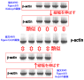 [46]指摘項目No.58,59 の解説図.jpg