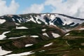 大雪山系黒岳の花