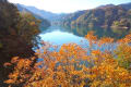 宮ヶ瀬湖の秋