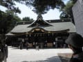 府中大國魂神社のケヤキの巨木