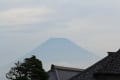 朝の散歩（富士山、駿河湾、遊歩道の花、野良猫）