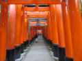京都、嵐山の旅・・・その２