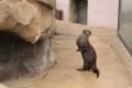 [45]王子動物園にて