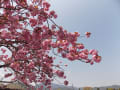 [2]20130416006.jpg