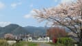 山口の風景