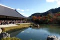 京都嵐山の天龍寺紅葉