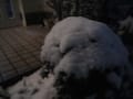 曇り空・朝～昼は静かな雰囲気でしたが～午後遅く雪・・・。朝歩き～