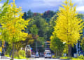 yotutiの写真日記…秋の景色（小樽）2015