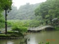 雨の薬師池公園