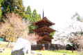 新海三社神社～貞祥寺コロナ終息祈願