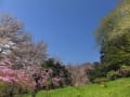 [30]岩根神社 05