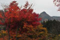 御岳山の紅葉