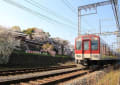 郡山城と桜・お城まつり（奈良県）　　