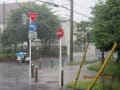 激しい雨の10分間