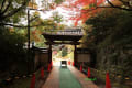 奈良の寺｛広仁寺｝