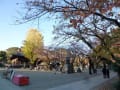 ２０１３年紅葉　中山法華経寺