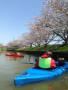 お花見カヌー２０１５。～しおさい湖からの稲荷川～