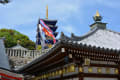 薫風　大澤山久安寺　紫雲山中山寺　藤