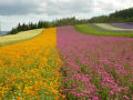 ２０１０年７月　北海道旅行