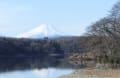 2013　私のジョギングコースから、（多摩湖遊歩道＆自転車道）