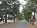 2011年10月13日　東海道徒歩の旅11（浜松宿、舞坂宿）