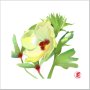 [4]７月・オクラの花png.png