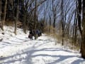 秋の公園、雪の山