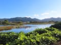 山口の風景　10月18日