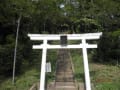 青葉台　寺家ふるさと村の熊野神社と二子玉川公園