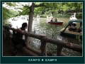 【SANPO】 2012.05.20-Yabuki　井の頭公園