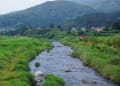 梅雨の晴れ間・吉和　190705