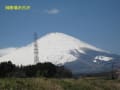 御殿場から見た富士山と桜