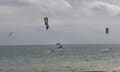 凧を操り水上を滑走する…カイトサーフィン！