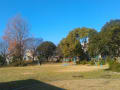 20171203_丸池公園_初冬