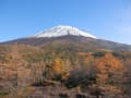 富士山スバルライン～山中湖紅葉まつり