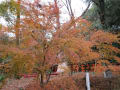 [54]下鴨神社