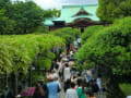 亀戸天神と根津神社