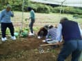 オンパクプログラム　湯郷温泉で農業体験と新鮮野菜試食会