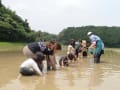 田植え体験 2014.06.25