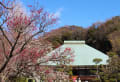 早春の浄妙寺