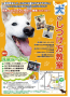 犬のしつけ方教室開催2015年10月4日