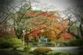 沼田城址公園の紅葉