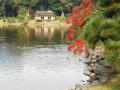 浜離宮恩賜庭園　秋