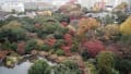 紅葉（上から）、六義園・旧古川邸