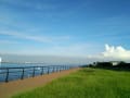 [27]９月末の青空 東扇島東公園