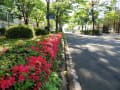 気ままなお気に入り　in Fukushima city