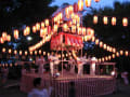 IMG_4229 IMG_4229