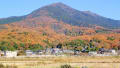 心に残る花と風景・つくば市周辺